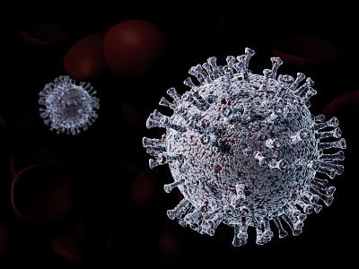 Detailed Scientific Visualization of Virus Structure Among Red Blood Cells 3d model