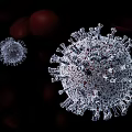 Detailed Scientific Visualization of Virus Structure Among Red Blood Cells