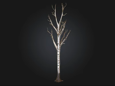Leafless Tree With White And Brown Textured Trunk Against Black Background 3d model