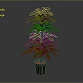 Green Leafy Plant with Lush Long Leaves in Black Pot against Gray Background