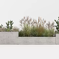 Potted Bonsai Plants With Succulents Grasses And Cacti In Concrete Planters