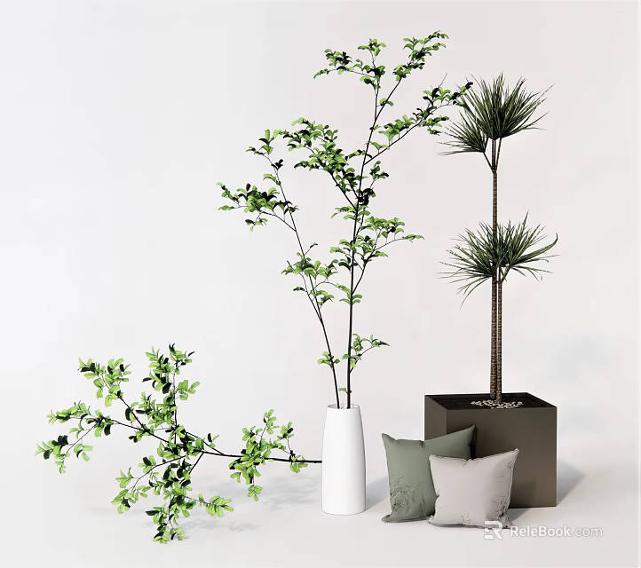 Modern Bonsai Potted Plant Design With Simple Ceramic Pot And Fresh Green Leaves 3d model 
