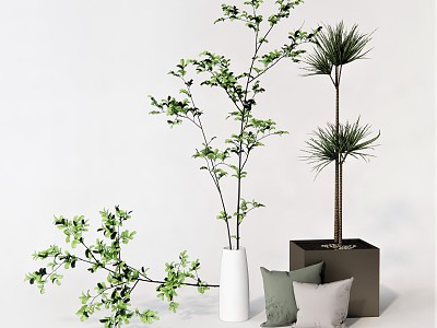 modern potted plant flowerpot plant green plant model