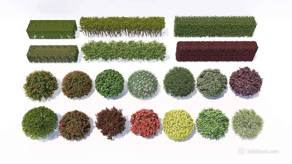 Various Types of Shrubs in Different Shapes and Colors for Landscape Design 3d model 