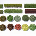 Various Types of Shrubs in Different Shapes and Colors for Landscape Design