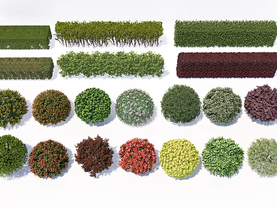 Various Types of Shrubs in Different Shapes and Colors for Landscape Design 3d model
