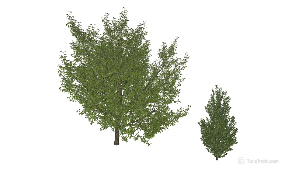 Lush Green Arbor With Dense Foliage Strong Branches And Natural Trunk 3d model 