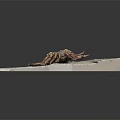 Close Up View Of A Crab On Sandy Beach With Detailed Legs