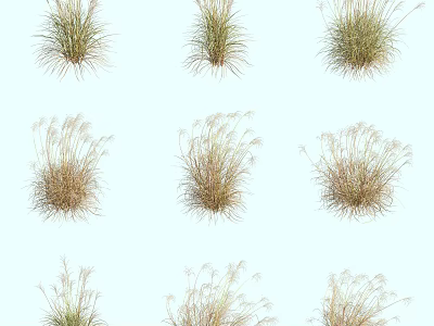 Various Herbaceous Grasses in Different Shapes Arranged with Green and Brown Tones on White Background 3d model