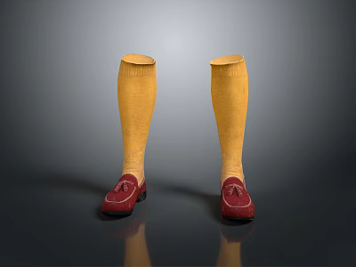 Yellow Knee High Socks And Red Loafers Stylish Fashion Wear 3d model