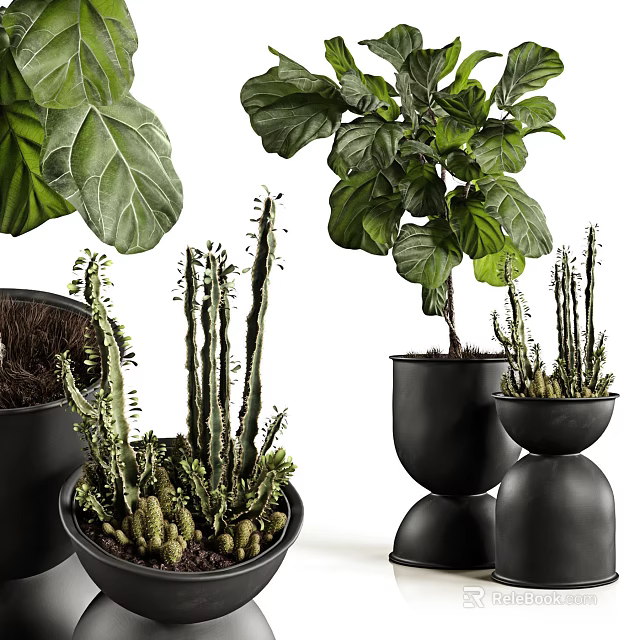 Decorative Bonsai Potted Plants With Various Green Foliage And Black Ceramic Pots 3d model 