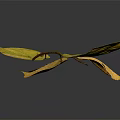 Single Branch with Autumn Yellow and Green Leaves on Smooth Gray Background Showing Soft Reflection