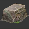 Natural Multicolor Stone with Purple Green Orange Hues Rough Surface and Green Plants