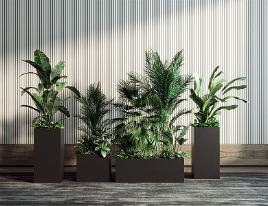 Modern potted combination 3d model