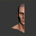 Detailed Human Head Anatomy Model Showing Brain Nasal And Throat Structures