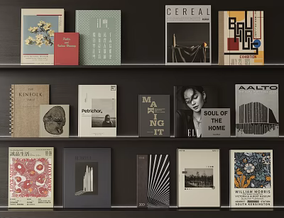Assorted Books and Magazines Displayed on Shelf With Various Art Design Covers 3d model