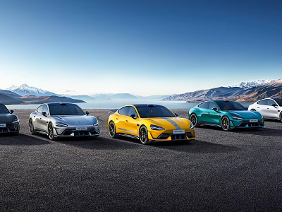 Various Colored Cars Parked On Open Scenic Road With Mountain Lake View 3d model