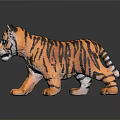 Tiger Cub Toy With Orange Black Stripes And Blue Eyes Standing On Reflective Surface