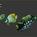 Vibrant Tropical Fish Displaying Colorful Patterns Yellow White Blue and Spotted Markings