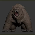 Roaring Brown Bear 3D Model With Detailed Fur And Aggressive Pose 3d model