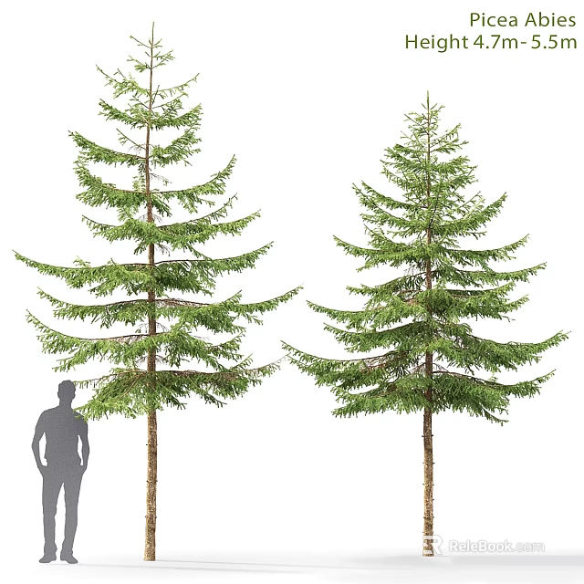 Decorative Tree Ornament Set With Human Silhouette For Size Reference And Landscape Decoration 3d model 