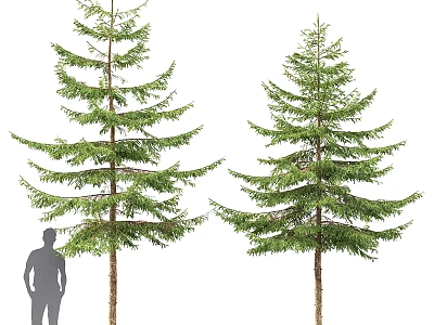 Decorative Tree Ornament Set With Human Silhouette For Size Reference And Landscape Decoration 3d model