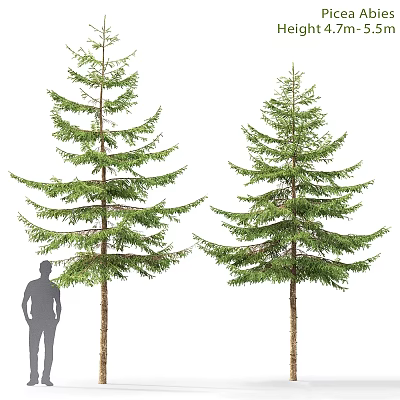 Decorative Tree Ornament Set With Human Silhouette For Size Reference And Landscape Decoration 3d model