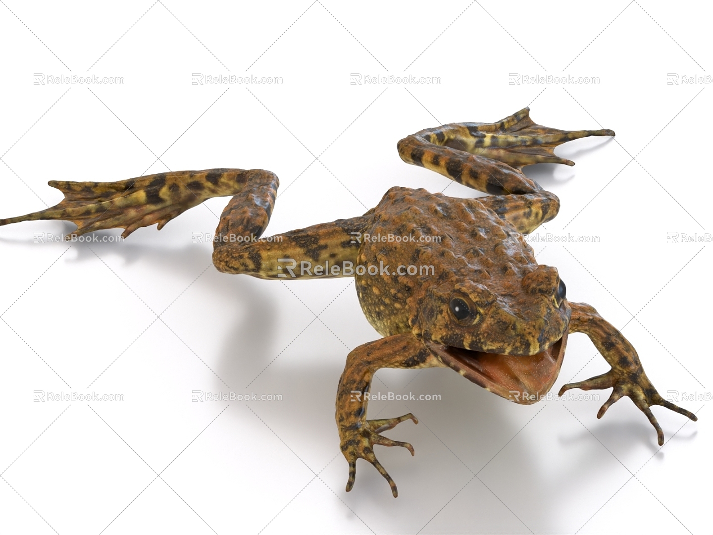 Bullfrog toad frog hemp turn frog 3d model