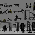 Comprehensive Collection of Sports Equipment for Home Gym and Fitness Workouts