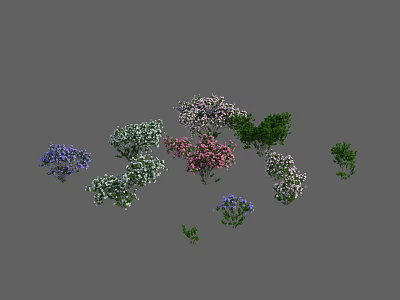 Various Colorful Flowering Plants Including Purple Pink And White Blooms With Green Shrubs 3d model