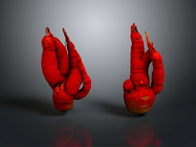 Two Red Irregular Shape Root Vegetables On Grey Background With Reflection 3d model