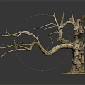 Natural Wooden Dry Tree Trunk Featuring Branched Twigs On Stone Base Black Background