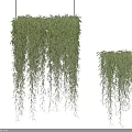 Lush Green Hanging Vines With Trailing Leaves For Decorative Wall Mesh 3d model