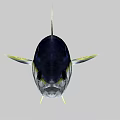 Blue and Yellow Tuna Fish With Streamlined Body And Yellow Fins