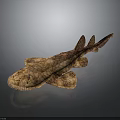 Realistic 3D Shark Model With Textured Brown Skin And Detailed Marine Animal Features