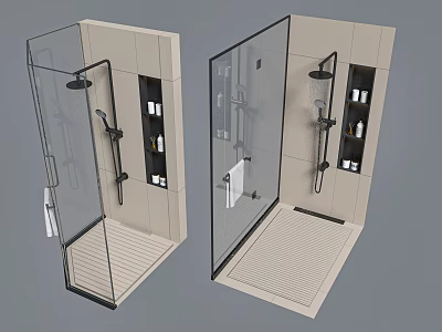 Modern Shower Room Design With Dual Shower Head And Glass Enclosure Storage Shelves 3d model