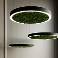 Three Circular Black Frame Pendant Lights With Green Moss And White Lighting 3d model