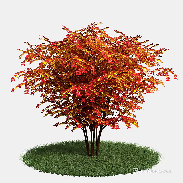 Vibrant Autumn Shrub With Red And Yellow Leaves On Green Grass 3d model 