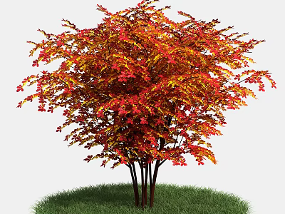 Vibrant Autumn Shrub With Red And Yellow Leaves On Green Grass 3d model