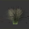 Fluffy Light Colored Plant with Red Slender Spikes and Green Base