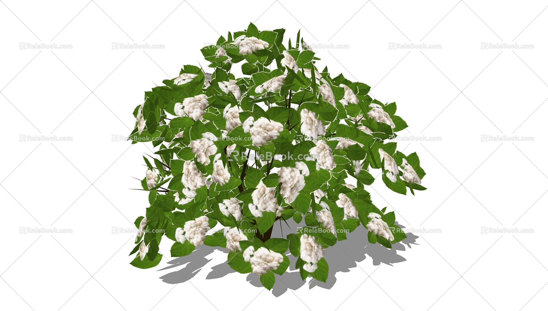 Plants 3d model