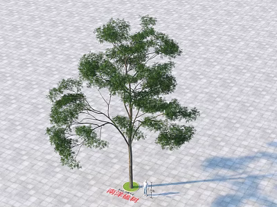 Lush Arbor With Dense Green Leaves And Straight Trunk On Stone Pavement Ground 3d model