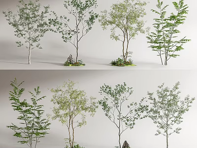 Various Types Of Garden Trees With Green Foliage And Different Trunk Shapes 3d model