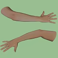 Male Arms With Open Hands Displaying Natural Hand Gestures And Posture