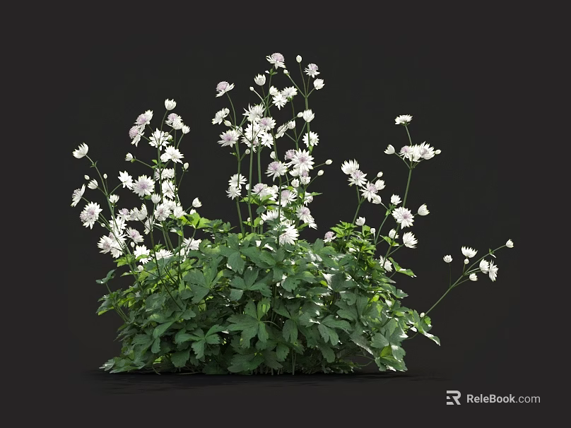 Lush Green Plant Cluster With White Small Flowers And Fresh Green Leaves 3d model 