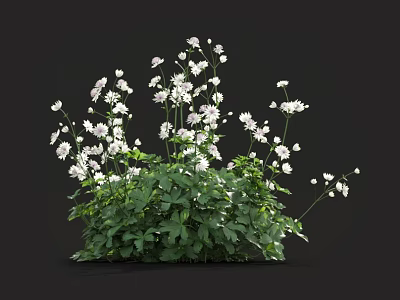 Lush Green Plant Cluster With White Small Flowers And Fresh Green Leaves 3d model
