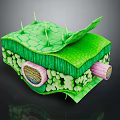 Detailed Plant Leaf Cross Section With Epidermis Projections Mesophyll Cells And Vessels