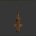 Realistic Brown Shark Toy Model on Dark Surface with Reflective Base 3d model