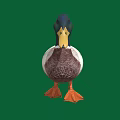 A Duck With Black Head Yellow Beak White And Brown Body On Green Background