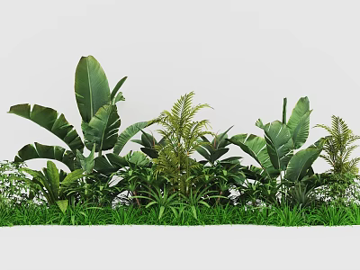 Lush Tropical Plant Combination With Large Leaves Ferns And Green Foliage 3d model